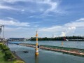 IMG_8265.jpg