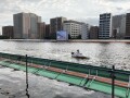 IMG_8450.jpg