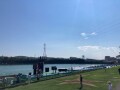IMG_8477.jpg