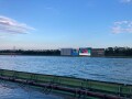 IMG_8485.jpg