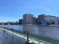 IMG_8527.jpg