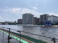 IMG_8540.jpg