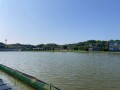 IMG_8850.jpg IMG_8850.jpg