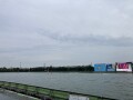 IMG_8987.jpg