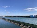 IMG_9198.jpg