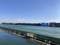 IMG_9482.jpg