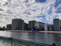 IMG_9502.jpg