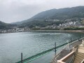 IMG_9610.jpg IMG_9610.jpg