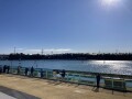 IMG_9884.jpg