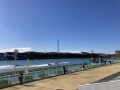 IMG_9886.jpg