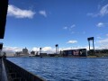 IMG_9990.jpg IMG_9990.jpg