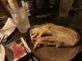 IMG_0219.jpg