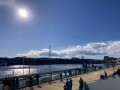 IMG_0246.jpg