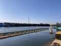 IMG_0496.jpg