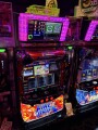 IMG_0894.jpg
