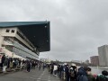 IMG_0977.jpg