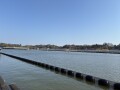 IMG_1091.jpg IMG_1091.jpg