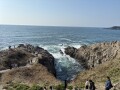 IMG_1118.jpg