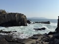 IMG_1128.jpg