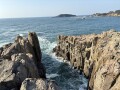 IMG_1145.jpg