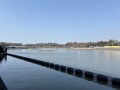 IMG_1206.jpg IMG_1206.jpg