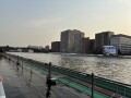 IMG_1231.jpg