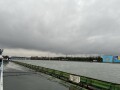 IMG_1261.jpg