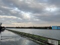 IMG_1272.jpg