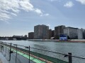 IMG_1287.jpg