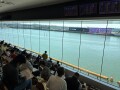 IMG_1322.jpg IMG_1322.jpg