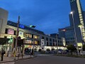 IMG_1370.jpg