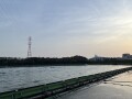 IMG_1552.jpg