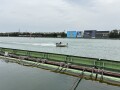 IMG_1564.jpg