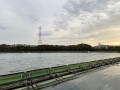 IMG_1572.jpg