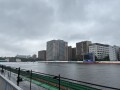 IMG_1673.jpg