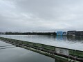 IMG_1808.jpg