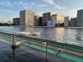IMG_2251.jpg