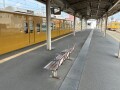 IMG_2290.jpg