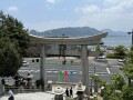 IMG_2422.jpg