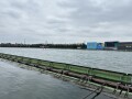 IMG_2552.jpg