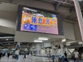 IMG_3031.jpg