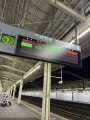 IMG_3232.jpg