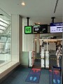 IMG_3250.jpg