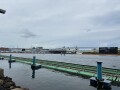 IMG_3277.jpg