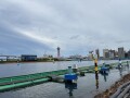 IMG_3281.jpg