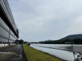 IMG_3356.jpg