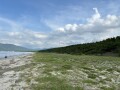 IMG_3380.jpg