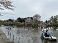IMG_6627.jpg