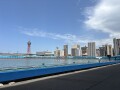 IMG_6735.jpg
