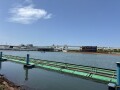 IMG_6739.jpg